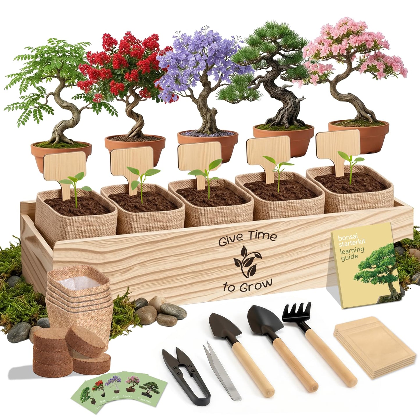 JELHFIP Bonsai Tree Starter Kit for Beginners 5 Unique Indoor Bonsai Trees with Gardening Tools DIY Bonsai Growing Kit Perfect Gifts for Women Men Plant Lovers for Birthday Mothers Day Housewarming