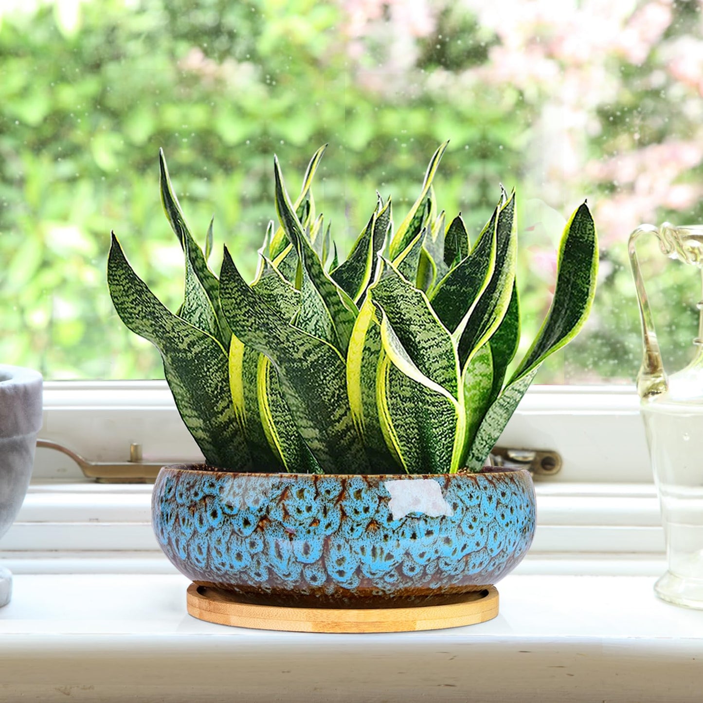 ARTKETTY Succulent Pots - 7.5 Inch Large Plant Pot with Bamboo Tray, Shallow Bonsai Pots with Drainage, Ceramic Planter for Indoor Plants, Cactus, Home Office Desk Decor