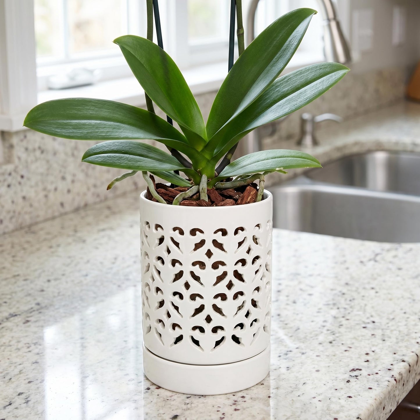 Jucoan 2 Pack Orchid Pots with Holes and Saucer, 4 Inch Ceramic Slotted Orchid Planter Pots for Repotting Indoor Outdoor Plant, Elegant Beige White and Green