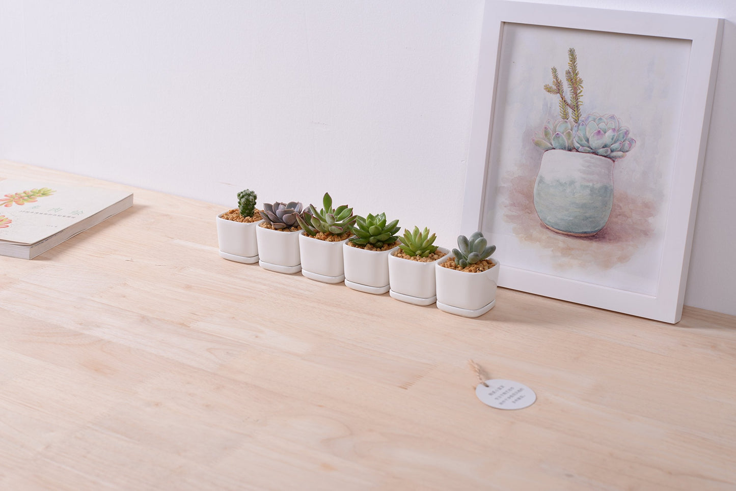SeaStar Ceramic Succulent Mini Planter Pot,Mini 6 Set 2x1.65x2inch Square Modern Minimalist White/Window Box with Saucer for Office,Desk,House Balcony Landscape