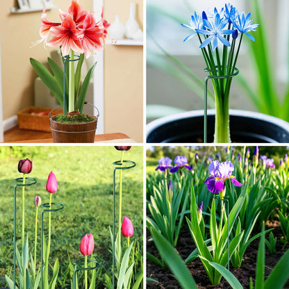 Fabulas 24 Pack Plant Support Stakes, 16 Inch Metal Garden Plant Stakes Single Stem Support Rings for Indoor Outdoor Amaryllis, Flowers Orchid, Lily, Peony, Rose, Tomato, Monstera, Narcissus