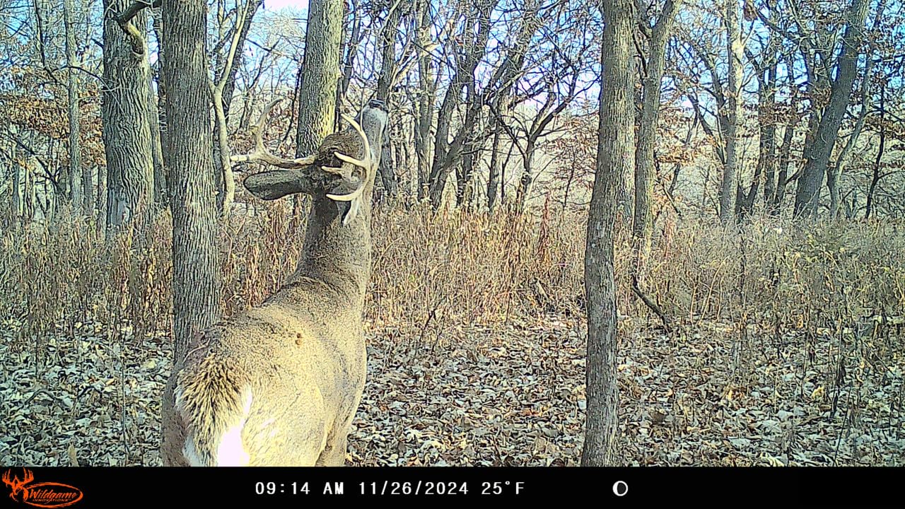 Wildgame Innovations WGI Insite-V 4-Pack Cellular Trail Camera 32 MP, 80ft Detection
