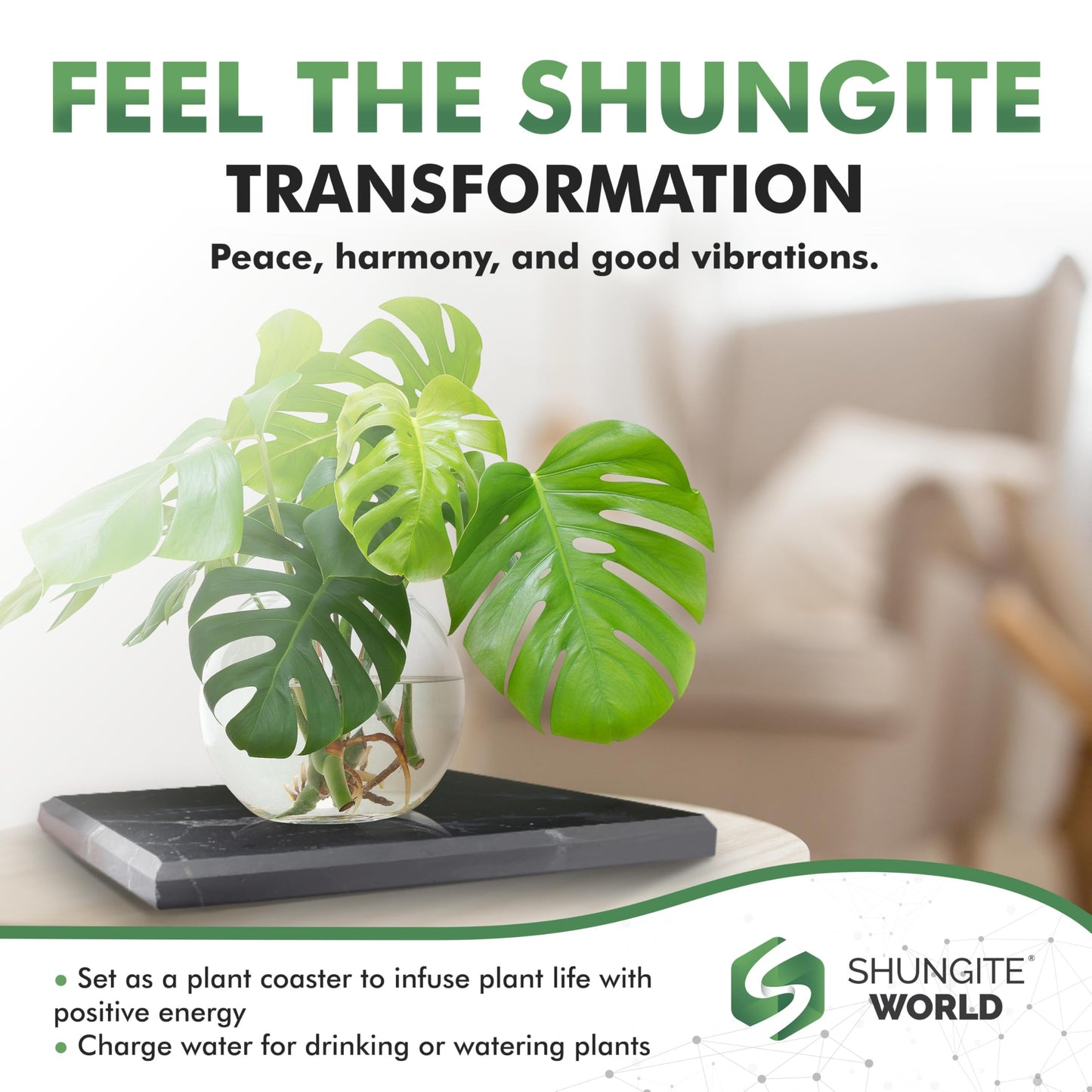 Shungite World Shungite Tile Unpolished 80x100 mm / 3.14"x3.93" from Real Karelian Shungite Stones Shungite Slab Plate Shungite Crystal Charging Plate Mineral Décor Coaster Healing Crystal Plates
