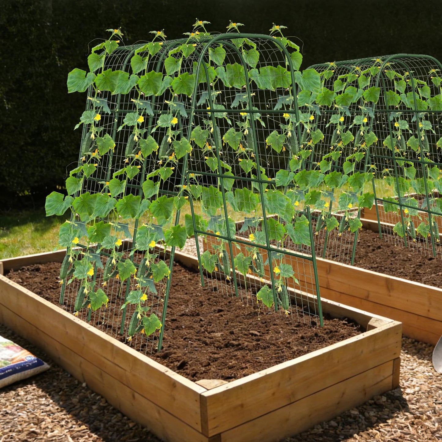 Nexum Cucumber Trellis for Raised Bed, 63"x47.2" U-Shape Garden Trellis for Climbing Plants Outdoor with Climbing Net, Metal Arch Plant Support for Cucumbers Tomatoes Peas Beans