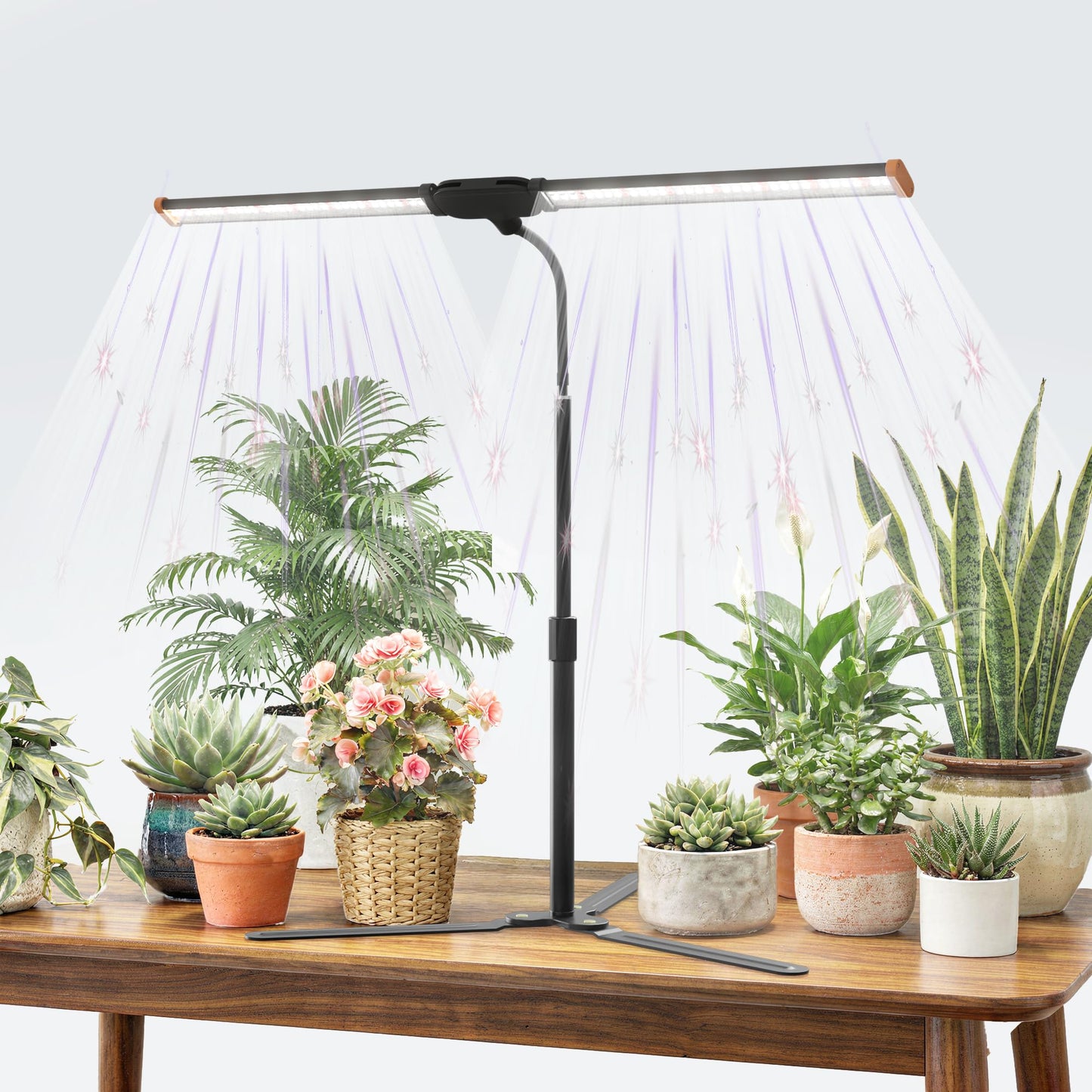 Wotime Grow Light for Indoor Plants,6000K White Sun Spectrum Growing Light Lamp with Red Blue LED for Pot Succulents Seeds, Light Strip Foldable & Height Extendable 9-25'', Auto Timer 4 8 12Hrs