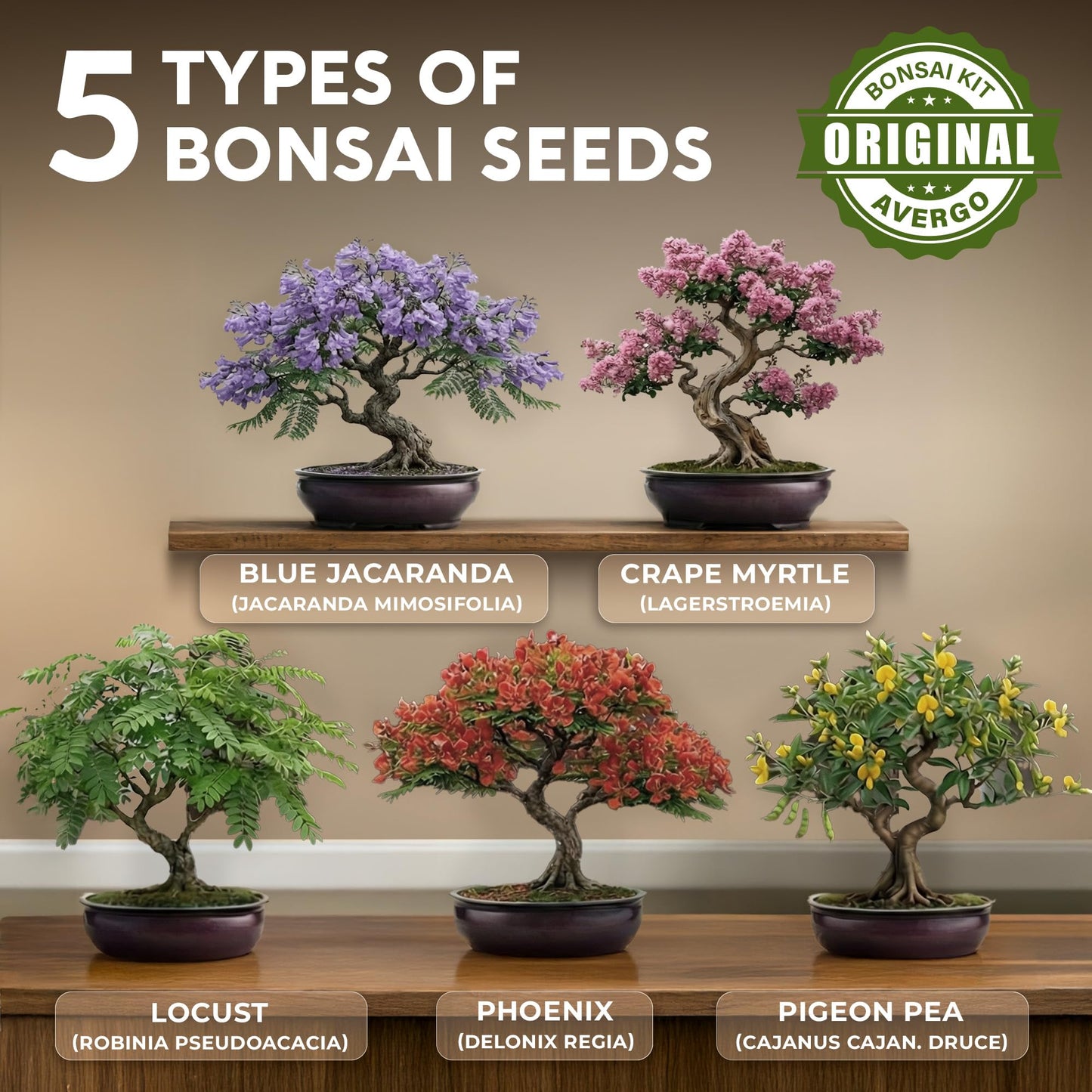 AVERGO Bonsai Tree Kit Classic - 5X Unique Japanese Bonzai Trees | Complete Indoor Bonsai Starter Kits for Growing Trees – DIY Gardening Gifts for Mother's Day, Women & Men
