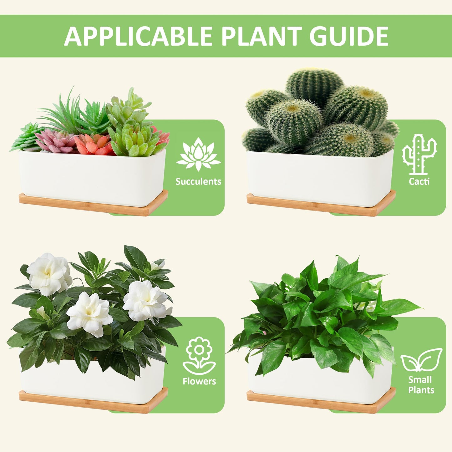 Leismy 2 PCS Succulent Pot Cactus Containers White Ceramic Planter with Drainage Hole and Removable Tray Small Plant Pots for Home Office Decor Bonsai Container for Indoor Outdoor Plants (Rectangle)