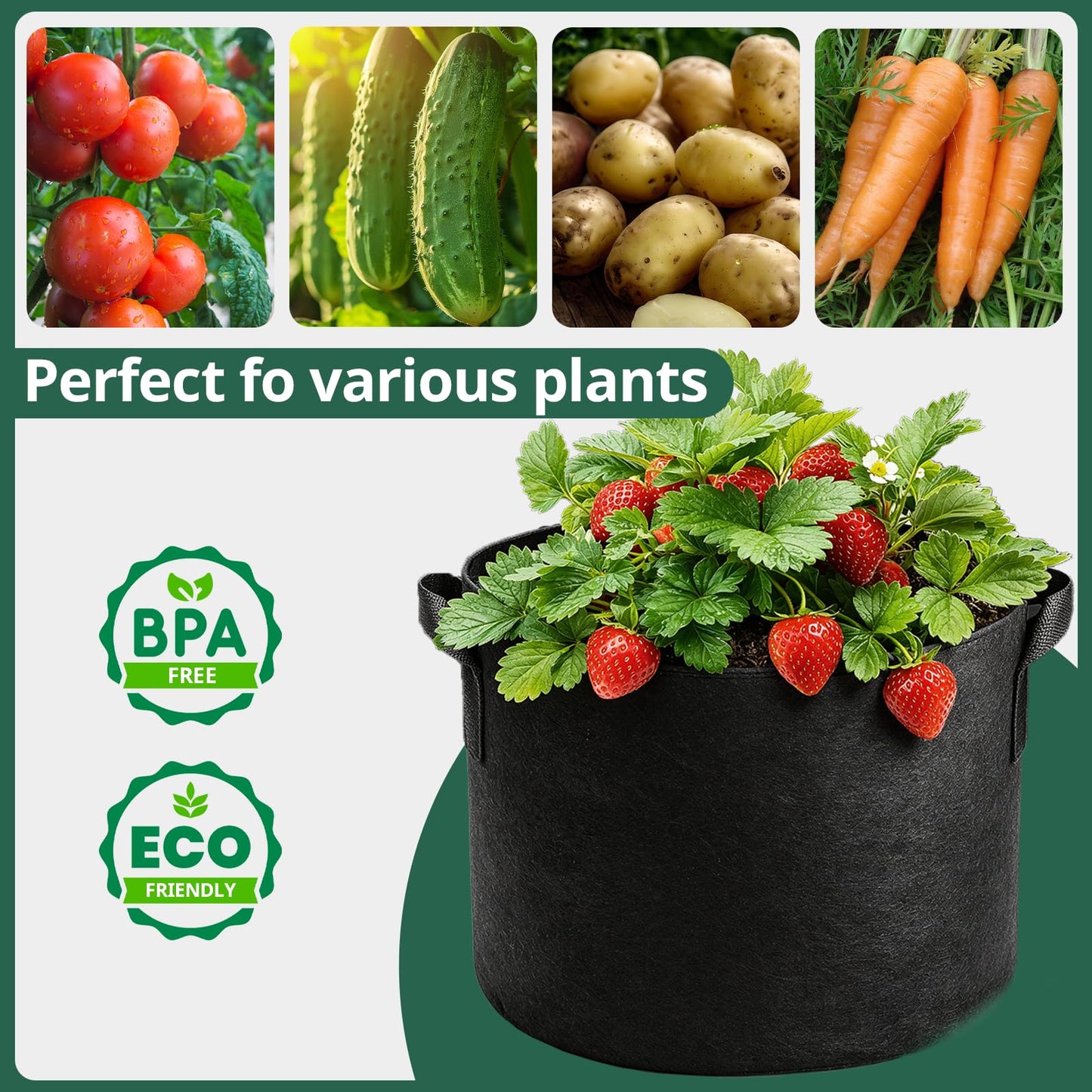 COKIELE 5 Pack 5 Gallon Grow Bags, Thickened Aeration Nonwoven Fabric Plant Pots with Handles, Heavy Duty 300G Garden Planting Bag for Tomato, Potato, Strawberry, Vegetable, Fruits and Flowers