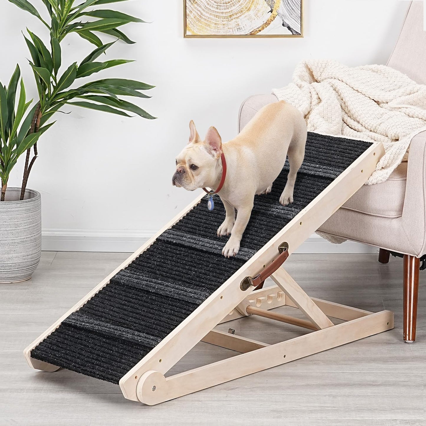 Dog Ramp for Bed - Foldable Small to Large Dog Ramp for Couch - 6 Adjustable Height from 30.5 to 61cm - Stairs with High Traction Mat - Wooden Portable Ramp for Dogs to Get on Bed Couch Car Up to 90kg