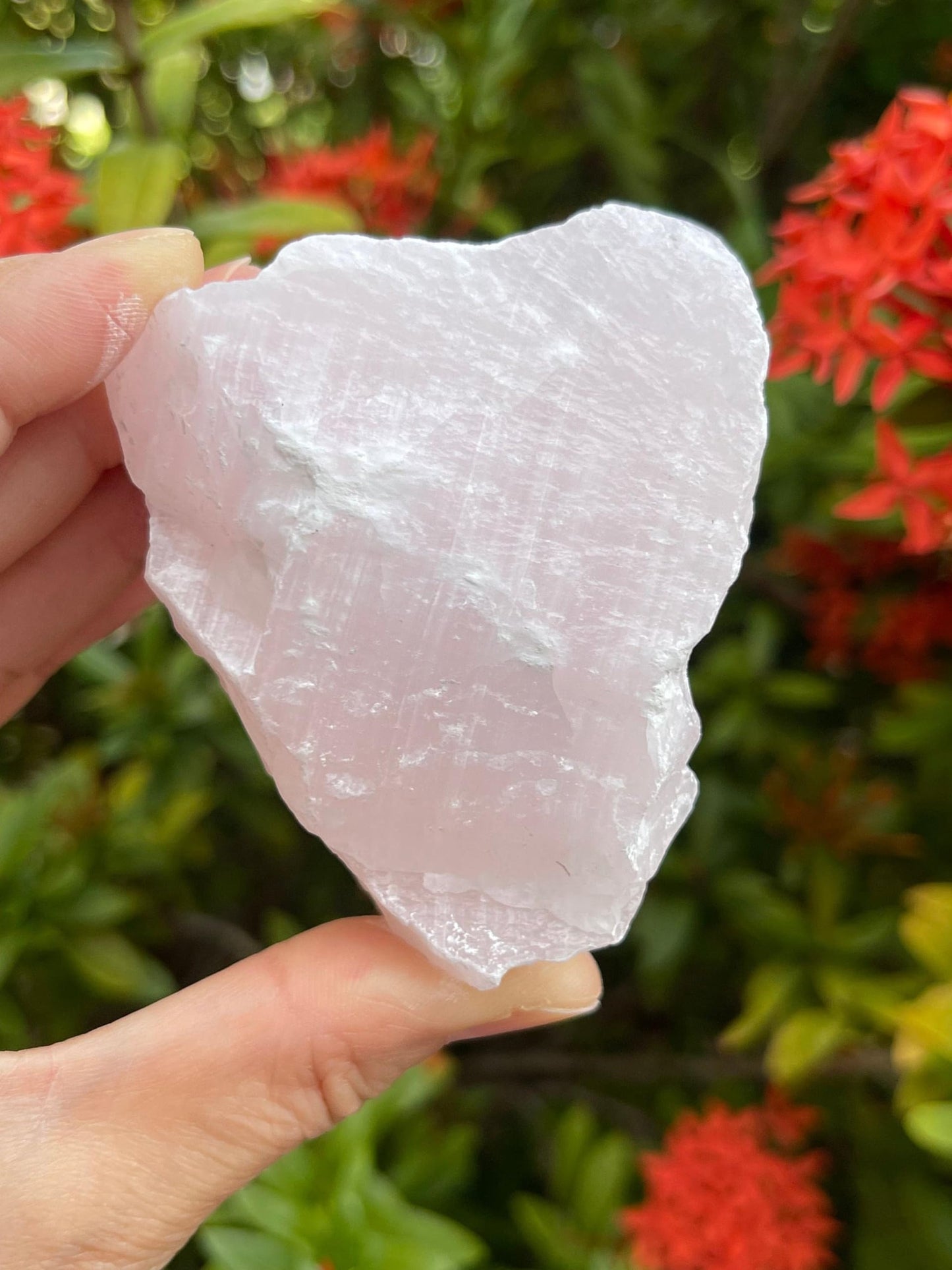 GAF TREASURES X-Large Pink Calcite Calcite Rough Natural Stones, Raw Calcite Pink Crystals (0.25-0.5 Pounds)