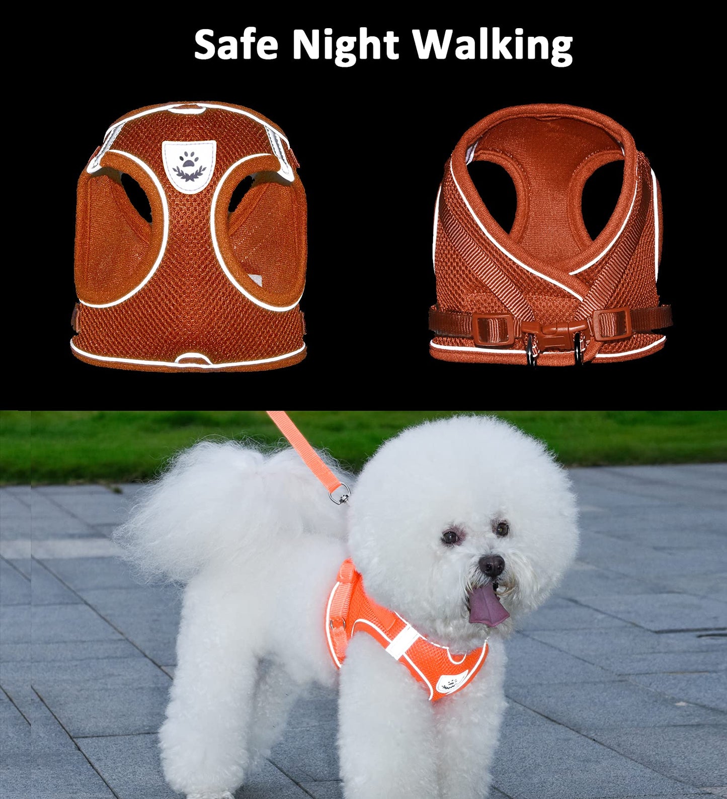 Dog Harness and Leash Set for Walking, Escape Proof Vest Harness with Soft Mesh, Adjustable Strap, Reflective Strips for Kitten Cats and Puppy Dogs