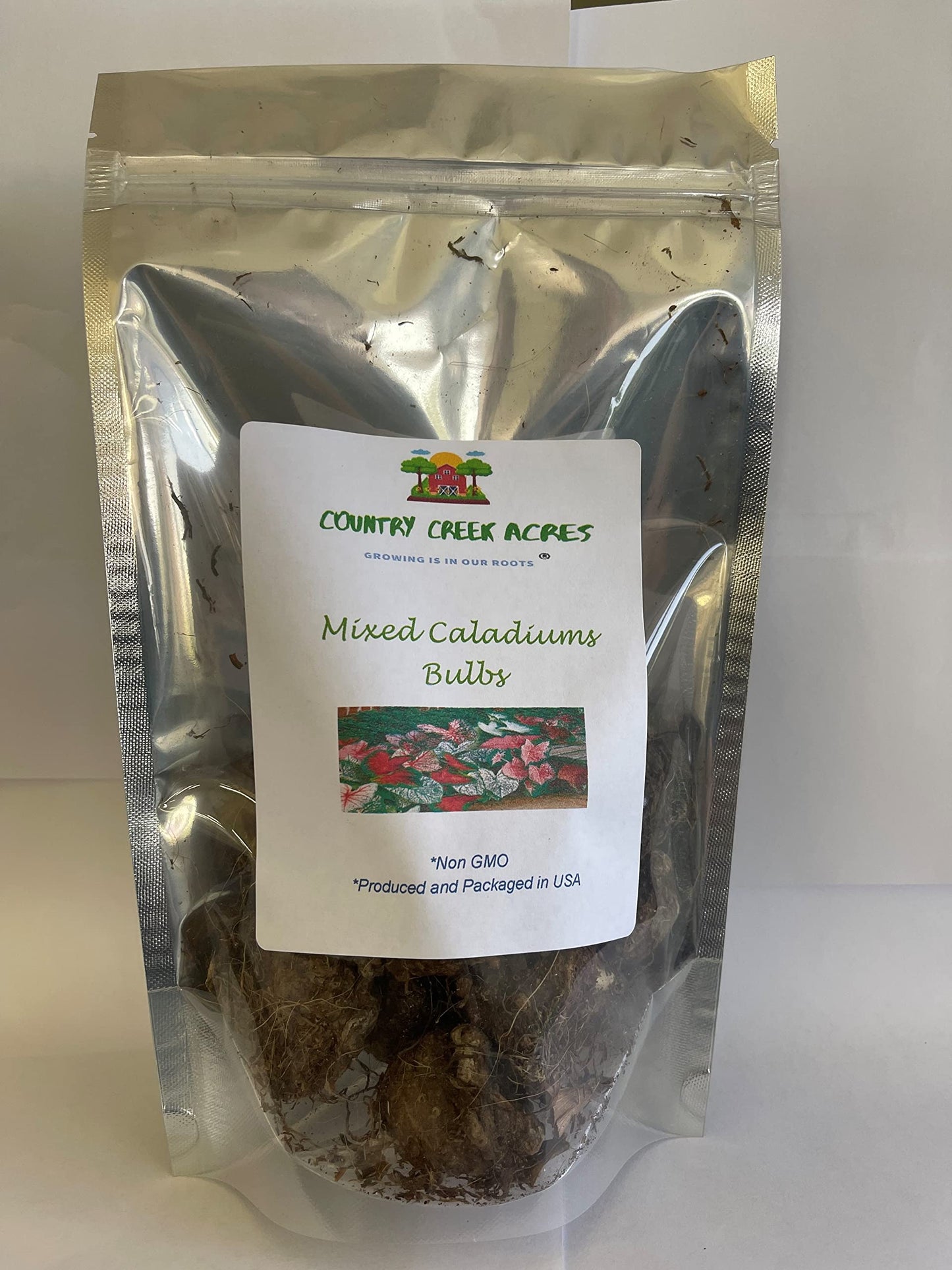 Caladium Bulbs, Fancy Mix, Pack of 10 (Ten), Easy to Grow, Colorful Mix, HOSTA, Country Creek Acres Brand
