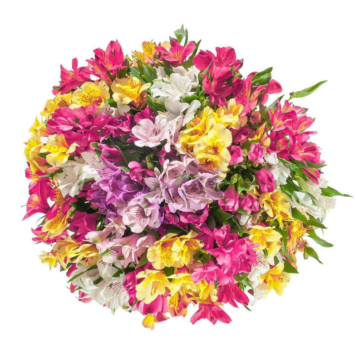 KaBloom - 50 stem Alstroemeria/Peruvian Lilies Assorted Bqt - Fresh Flowers for Birthday, Valentine's & Mother's Day