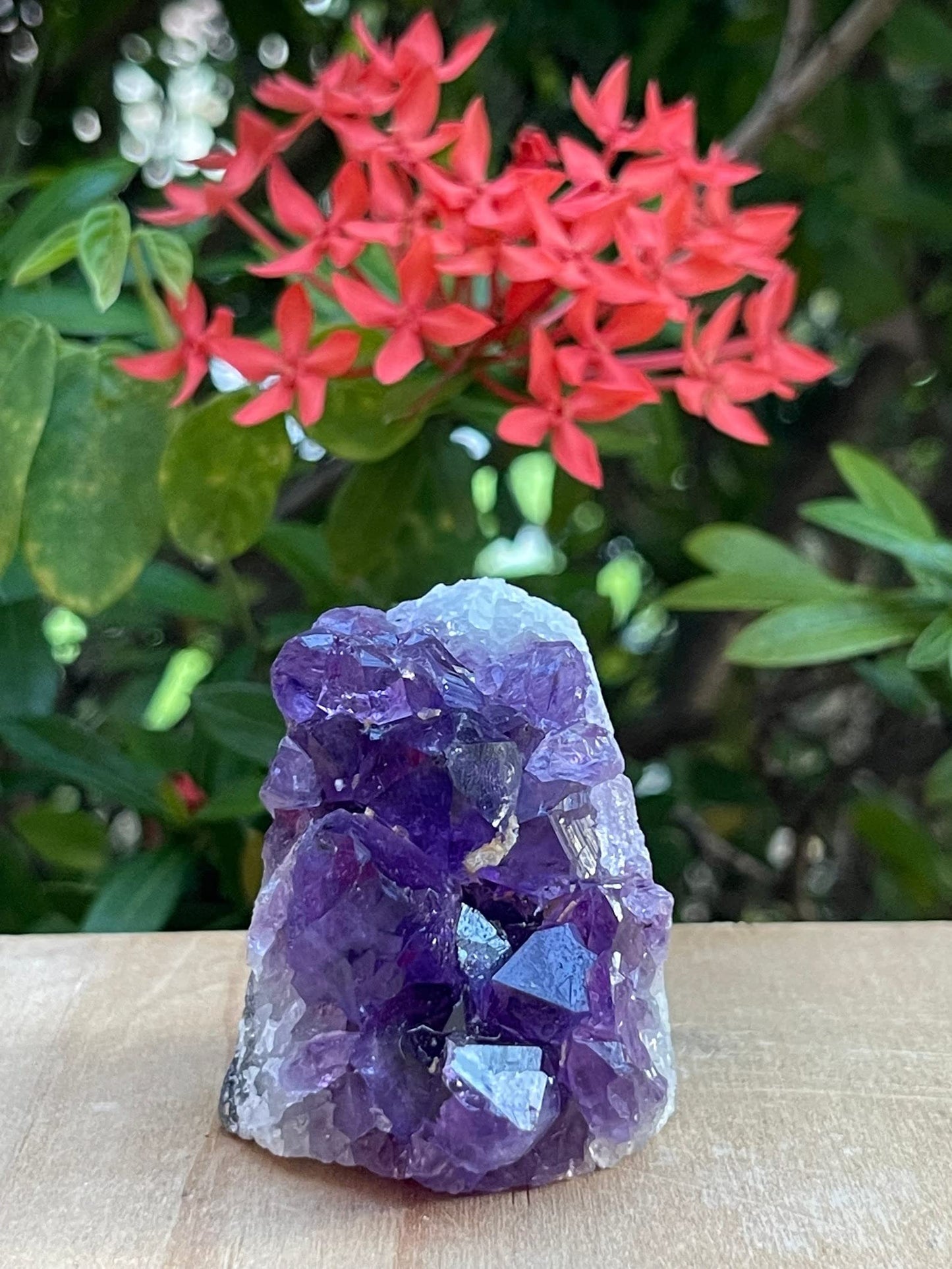 GAF TREASURES Uruguayan Deep Purple Amethyst Cluster, Amethyst Geode, Raw Amethyst, Amethyst Cathedral, Amethyst Druze, Amethyst Crystal (0.3-0.5 lb)