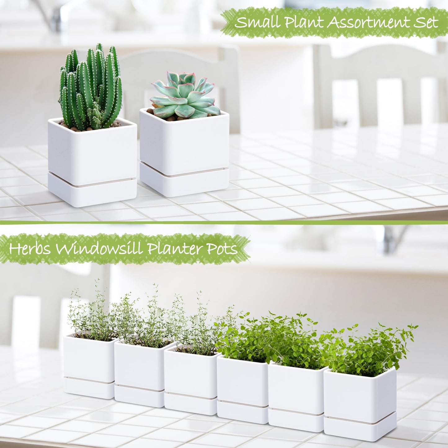 D'vine Dev 4 Inch Herb Planter Pot, Plastic Planter with Drainage Holes and Saucer, Modern Decorative Gardening Pot for Indoor Plants, Flowers, Herbs, Succulents, White, Set of 6, 76-Y-A6-1