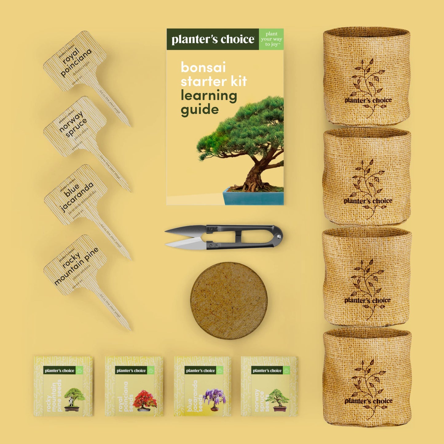 Bonsai Starter Kit - Gardening Mothers Day Gifts for Women & Men - Bonsai Tree Growing Garden Crafts Hobby Kits for Adults, Unique DIY Hobbies for Plant Lovers - Unusual Gifts Ideas Mom, Her, Friend