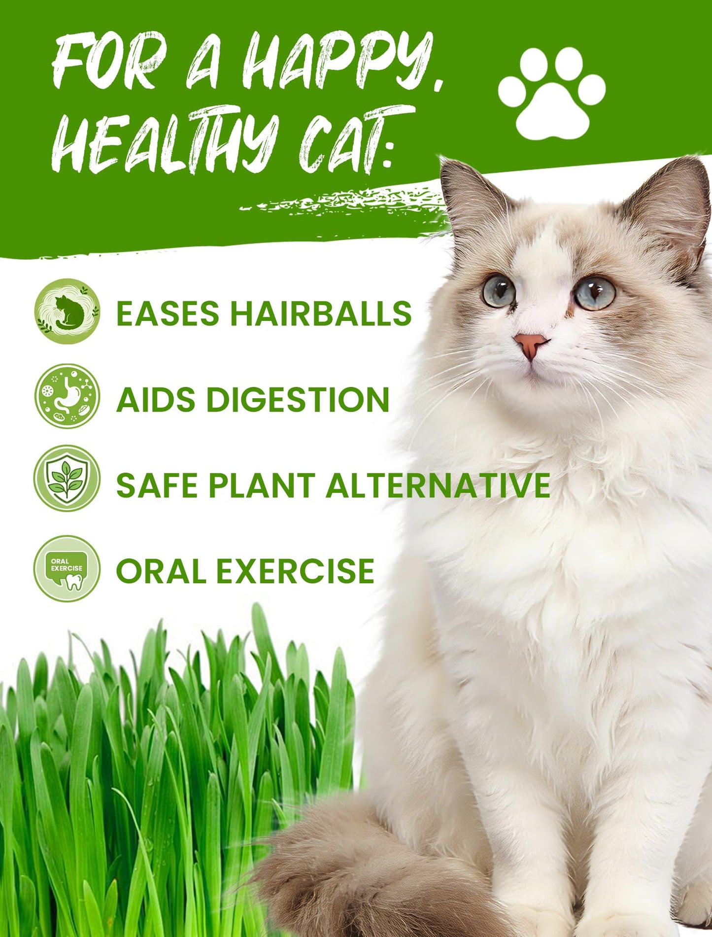 Cat Grass Kit for Indoor Cats, 3 Pack Fast Growing Cat Grass Kit with Eco-Friendly Biodegradable Pots, Soil & Wheatgrass Seeds, Grows in 3-7 Days with High Germination Rate