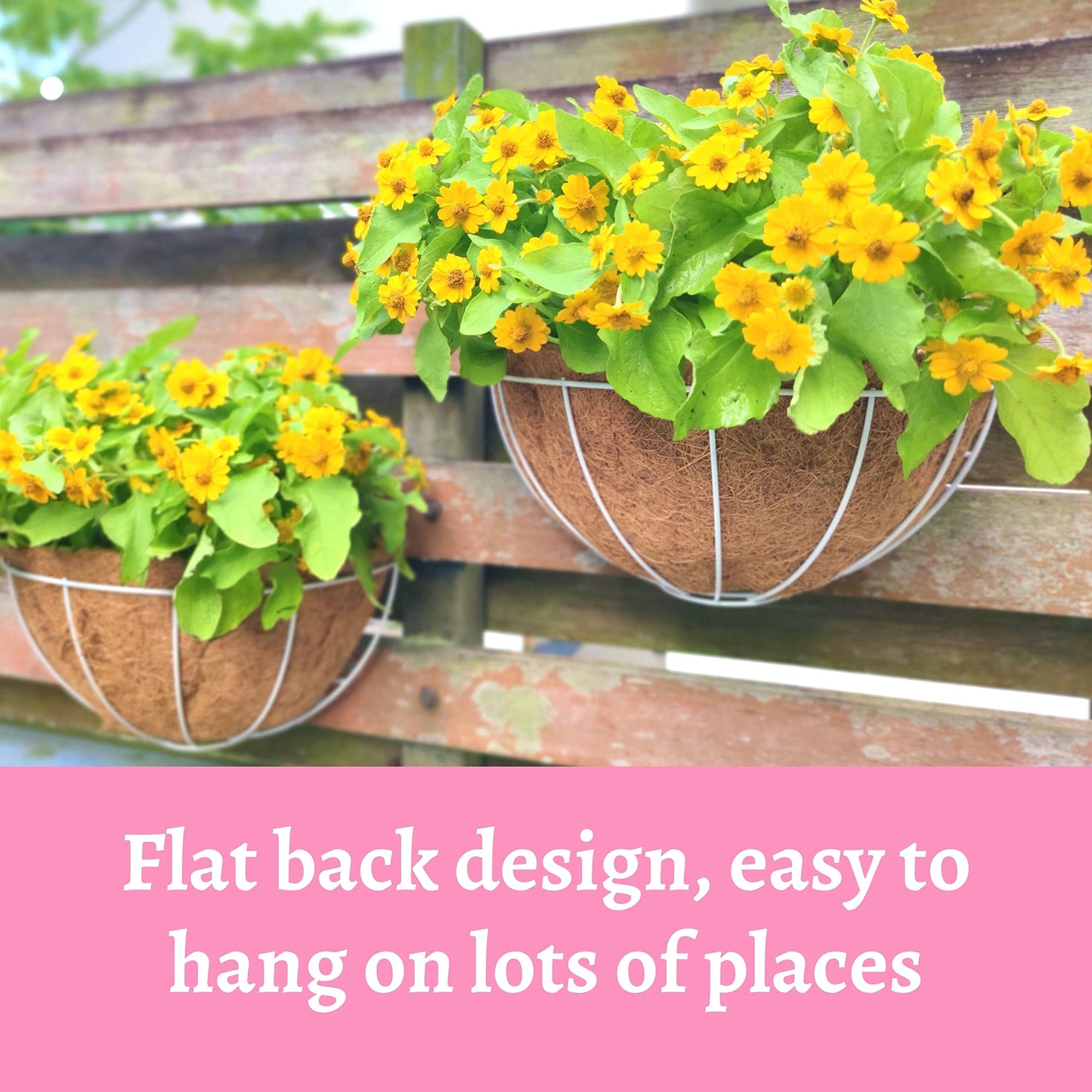 LaLaGreen Large Wall Planters Outdoor, 2 Pack, 14 Inch Wall Hanging White Metal Wire Pot with Coco Liner, Wall Mount Flower Basket Outside Fence Railing Plant Holder Patio Deck Porch Balcony Garden