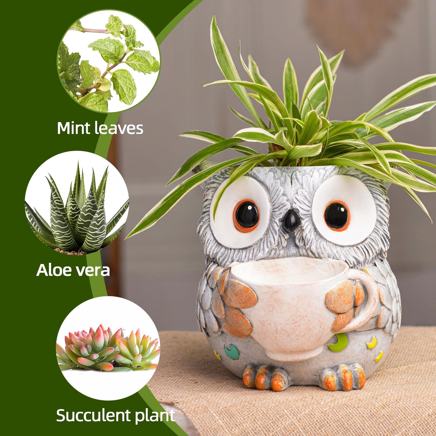 Saysmile Unique Owl Plant Pots Indoor, Cute Small Succulent Pots with Drainage Hole, Watering Owl Planters for Indoor Outdoor Plants, Resin Flower Pot for String of Pearls, Gift Ideas for Mother