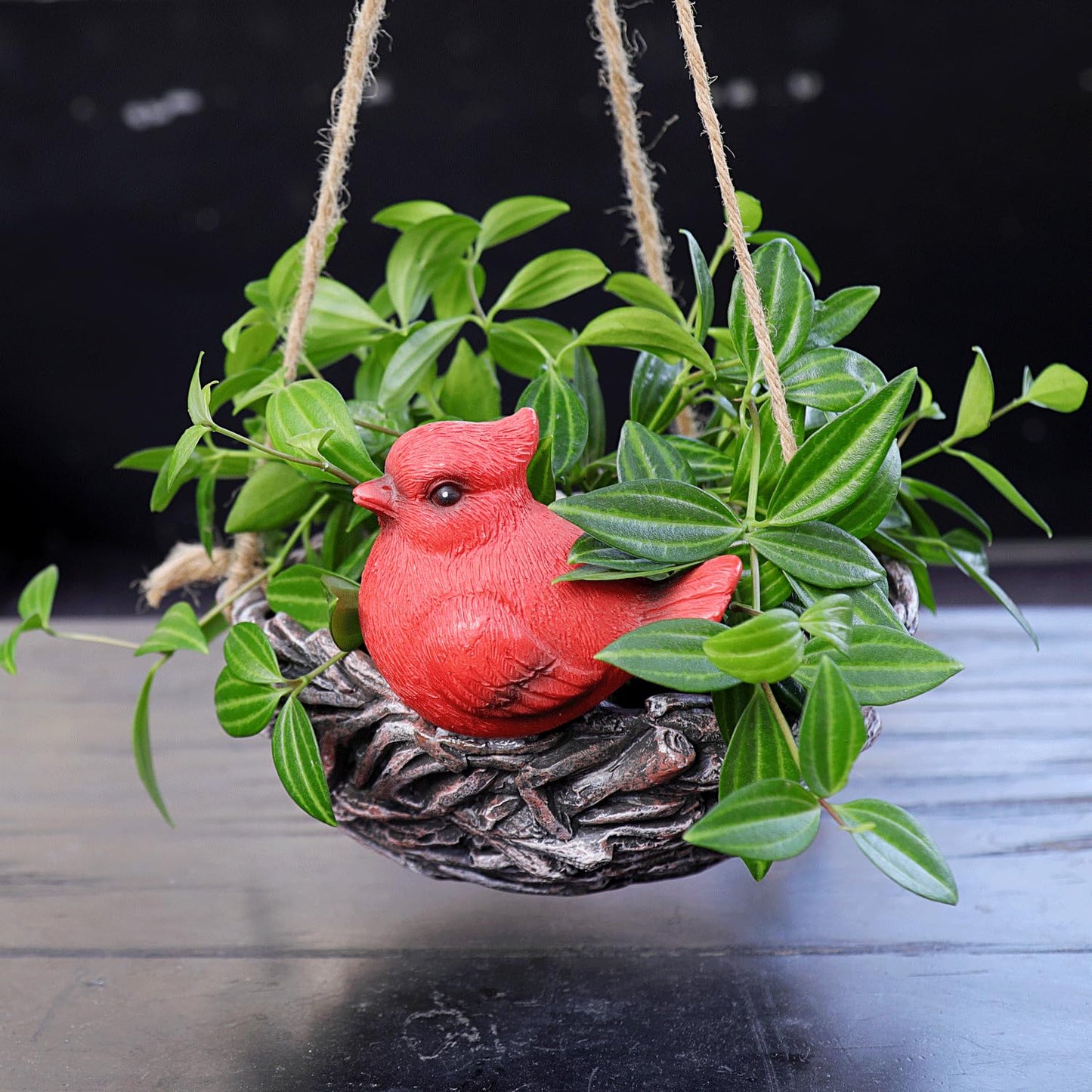 NINIPAPA Hanging Planters for Plants Swing Funny Bird Nest Plant Pots, Cute Outdoor Indoor Garden Succulent Flower Pot with Drainage, Unique Gift on Birthday, Christmas