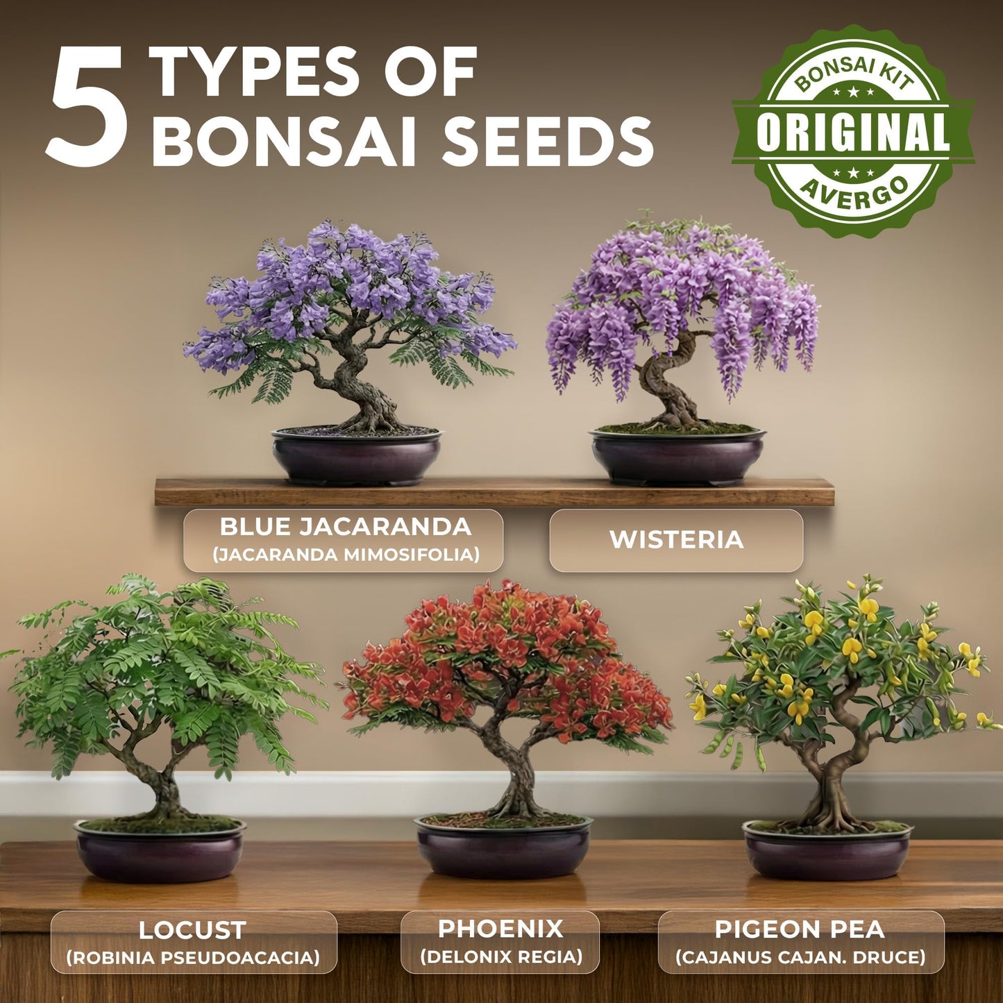 AVERGO Bonsai Tree Kit Deluxe - 5X Unique Japanese Bonzai Trees | Complete Indoor Bonsai Starter Kits from Seeds to Trees – DIY Gardening Gifts for Mother's Day, Women & Men