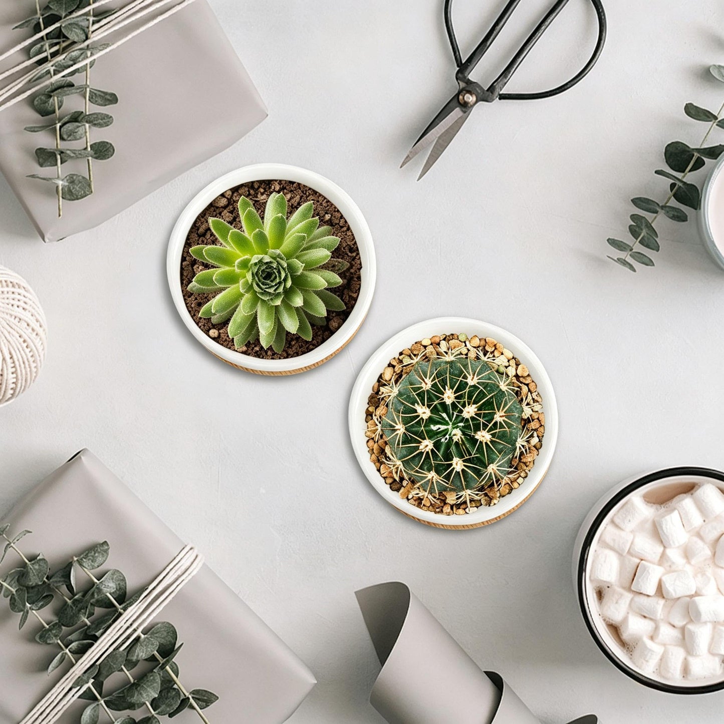 Tosnail 12 Pack Small Succulent Pots with 12 Bamboo Trays, 2.5 Inch Round White Ceramic Mini Plant Pots, Tiny Succulent Planters, Cactus, Flower, Air Plant Containers, Modern Home and Office Decor