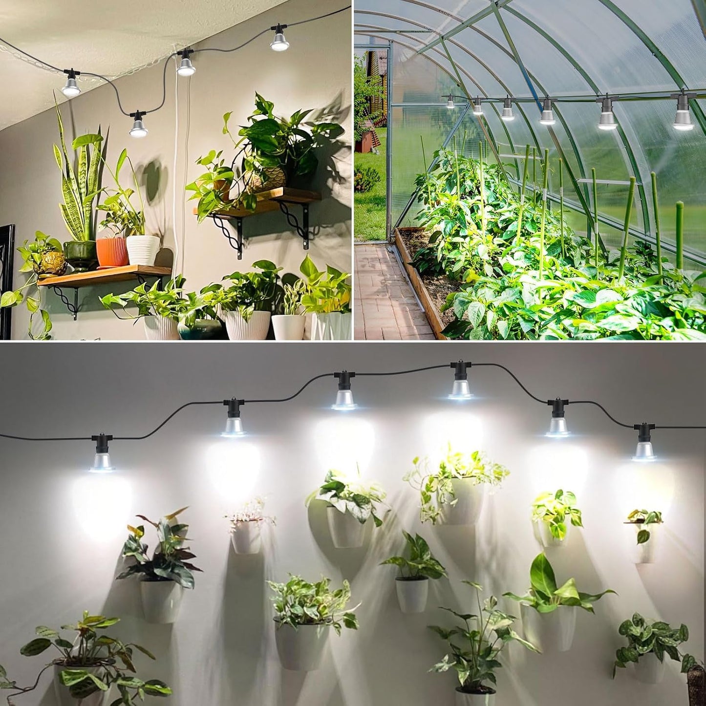 SANSI Hanging Grow Light String for Indoor Outdoor Plants, 6 LED Grow Light Bulbs 72W with Optical Lens for High PPFD, IP65 Waterproof Plant Grow Lamp for Greenhouse Garden (Upgraded)