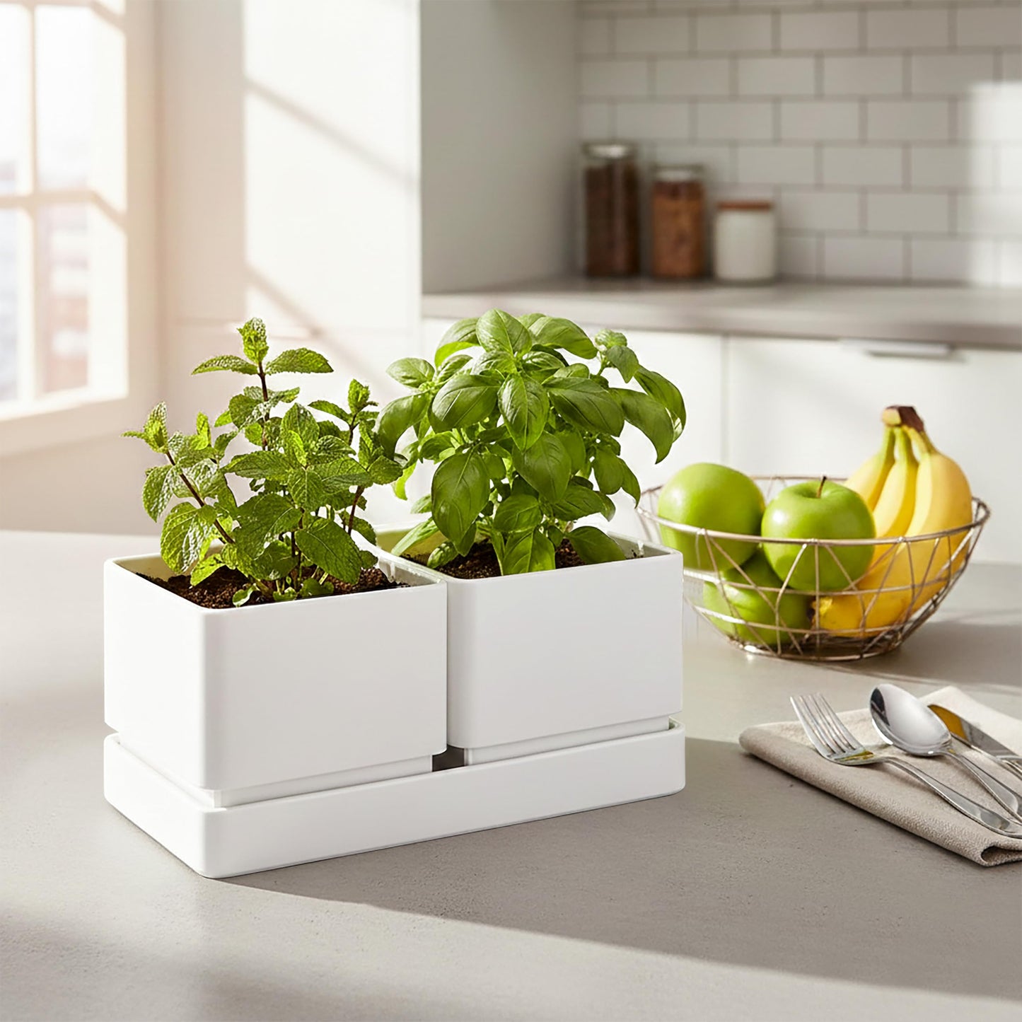 D'vine Dev Indoor Herb Garden Planter Set, Plastic Windowsill Plant Pots with Drainage and Saucer, Indoor Succulent Cactus Vegetable Pot for Balcony, Office, Garden, White, Set of 2, 76-Q-A-2