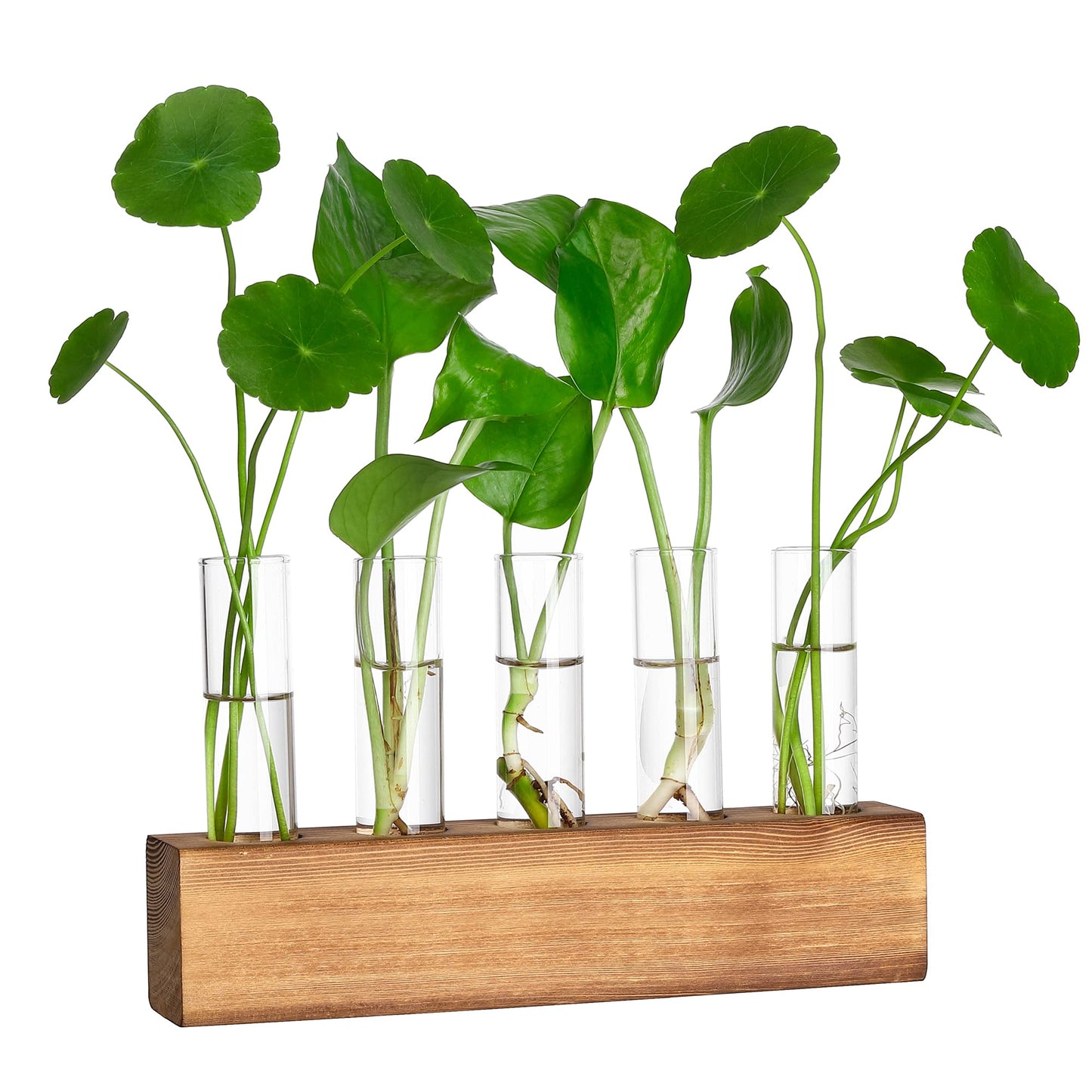YIBOT Propagation Stations, Plant Terrarium with Wooden Stand, 5 Glass Test Tubes Vases, Birthday Gardening Gifts for Women Mom Plant Lovers, Home Office Desk Decor