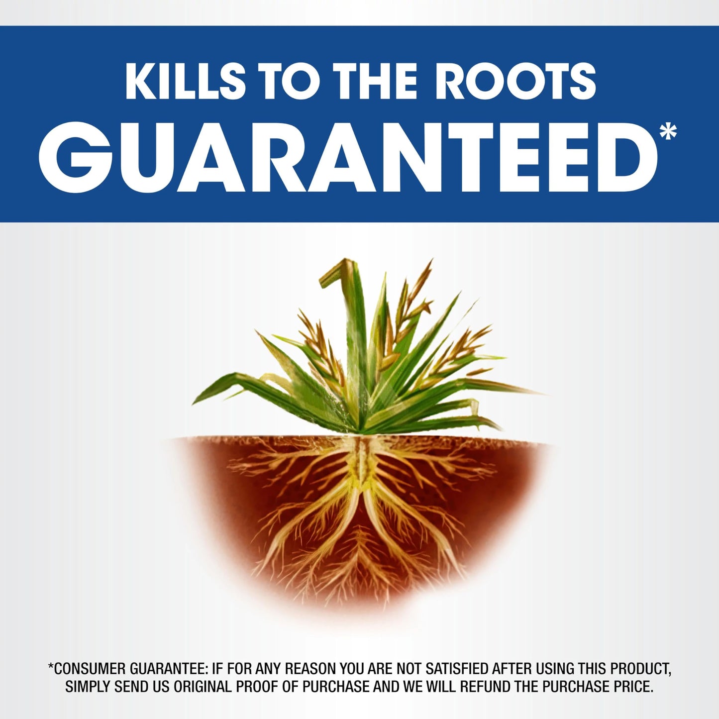 Roundup Weed & Grass Killer₄ Refill, Use in and Around Flower Beds, Trees, Driveways, Walkways & More, 1.25 gal.