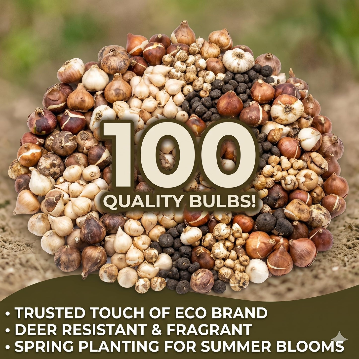 Amazing Deal -100 Perennial Bulbs Birds, Butterflies & Bees English Flower Bulb Collection – Crocosmia, Allium, Anemone & Triteleia Mix – Colorful Summer Blooms – Attracts Outdoor Pollinator EasyGrow