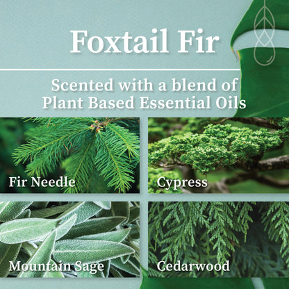 Hemlock Park Foxtail Fir Green Glass Hand-Poured Scented Candle | Crackling Wood Wick, Botanical Fragrance & Coconut Wax | Up to 60 Hour Burn Time | 8 oz