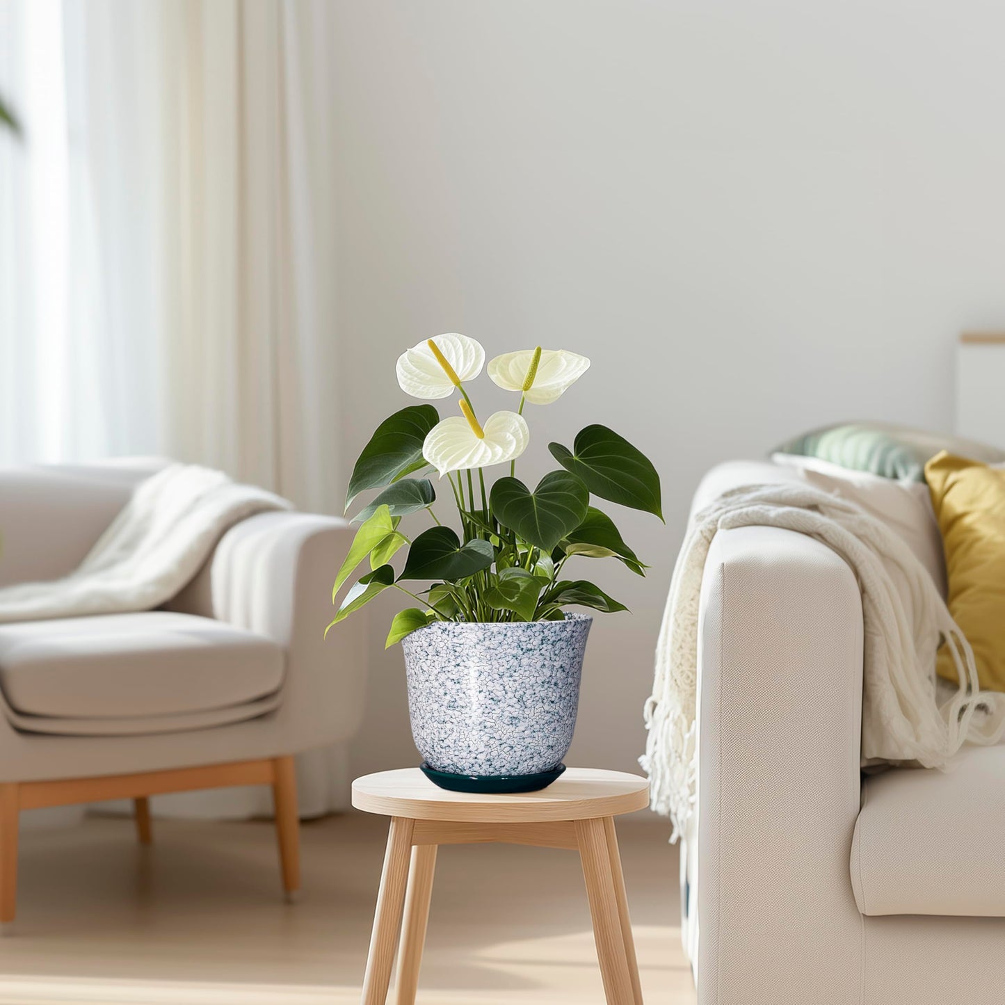 SUNPOTFOR 5.6 Inch Plant Pot - Ceramic Plant Pots for Indoor Outdoor, Round Orchid Succulent Pots with Drainage Hole and Saucer, Modern Flower Pot, Home Office Decor, Green-White