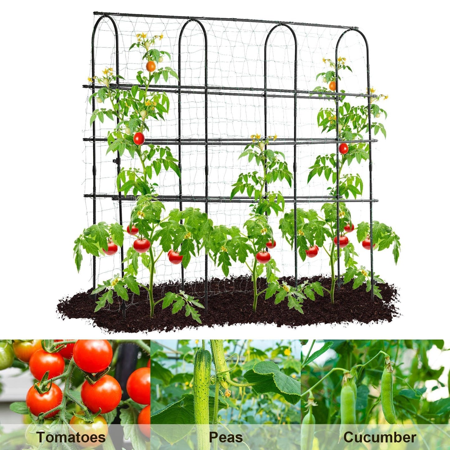 OTOSUNNY Garden Trellis for Climbing Plants Outdoor, 6 FT Tall Arch Tunnel, Metal A-Frame Plant Support with Trellis Netting Vegetable Fruit Flower, Cucumber Trellis for Garden Raised Bed