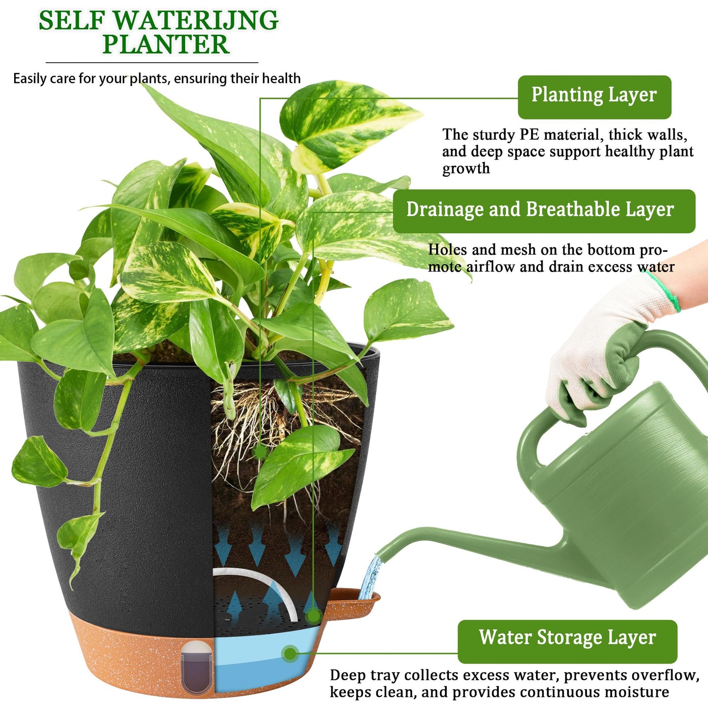 Fielda 2 Pack 8 Inch Pots for Plants Indoor, Plastic Self Watering Planters with Drainage Holes, Water Level Indicator & Deep Reservoir, Decorative Flower Pots Indoor Outdoor Use (Black