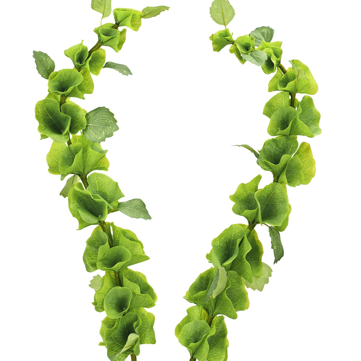 FiveSeasonStuff Artificial Bells of Ireland | Flower Greenery Fillers | Floral Bouquet Arrangement, 2 Stems