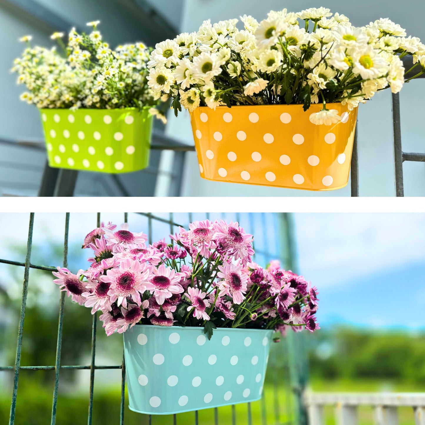 LaLaGreen Outdoor Hanging Planter (11.2 Inch, 6 Pack) Light Blue, Neon Pink, Dark Purple, Yellow, Red Metal Iron Window Box Polka Dot Herb Flower Pot Deck Railings Fence Wall Mount Porch Garden Decor