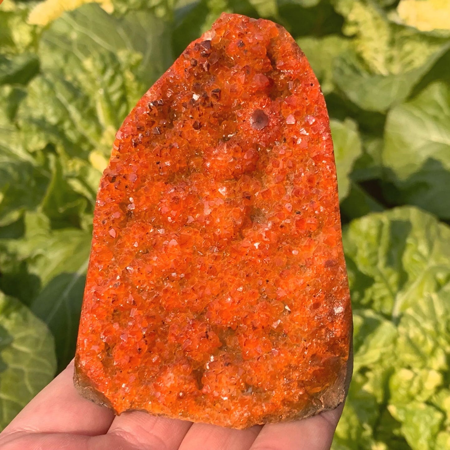 CrystalHola Raw Orange Geode Quartz Cluster 200-300g - Natural Crystal Decorative Stone for Home & Office Decor, Healing Ornaments & Spiritual Gifts, About 2-3 inch, 7-10.5 oz