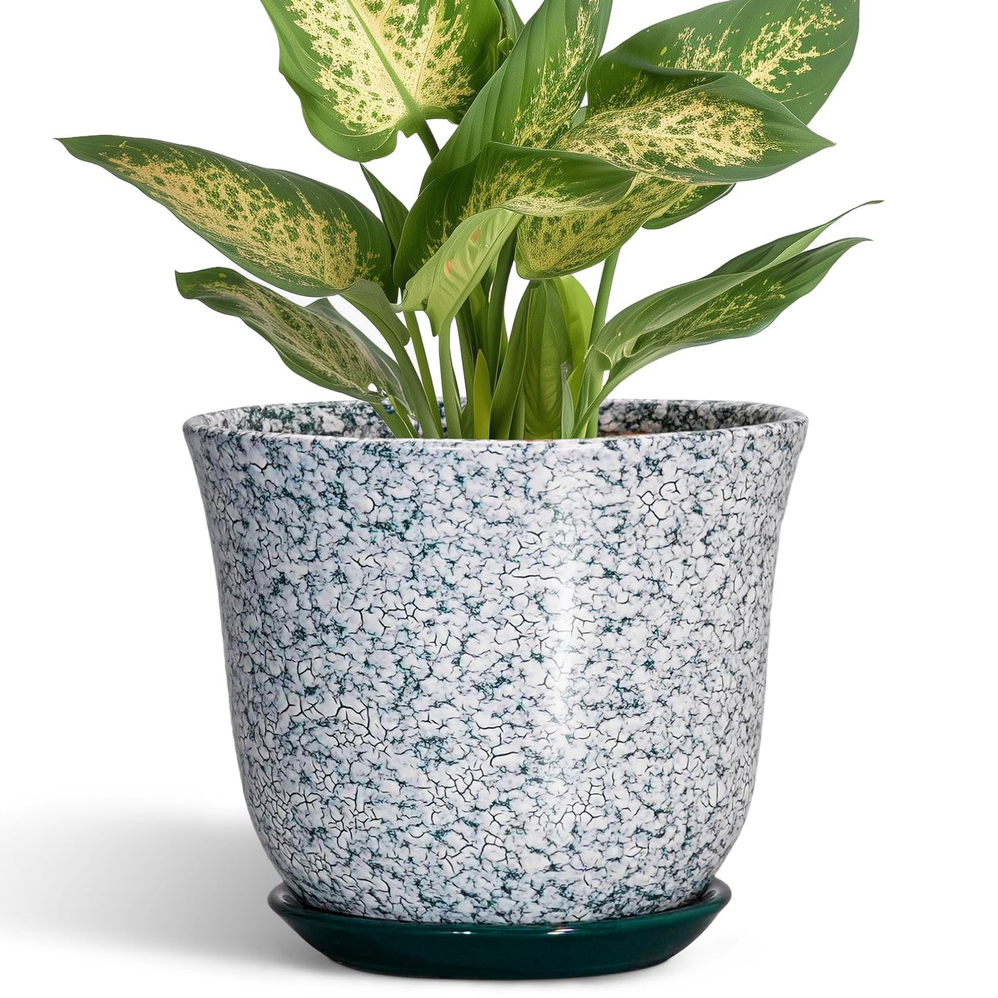 SUNPOTFOR 5.6 Inch Plant Pot - Ceramic Plant Pots for Indoor Outdoor, Round Orchid Succulent Pots with Drainage Hole and Saucer, Modern Flower Pot, Home Office Decor, Green-White