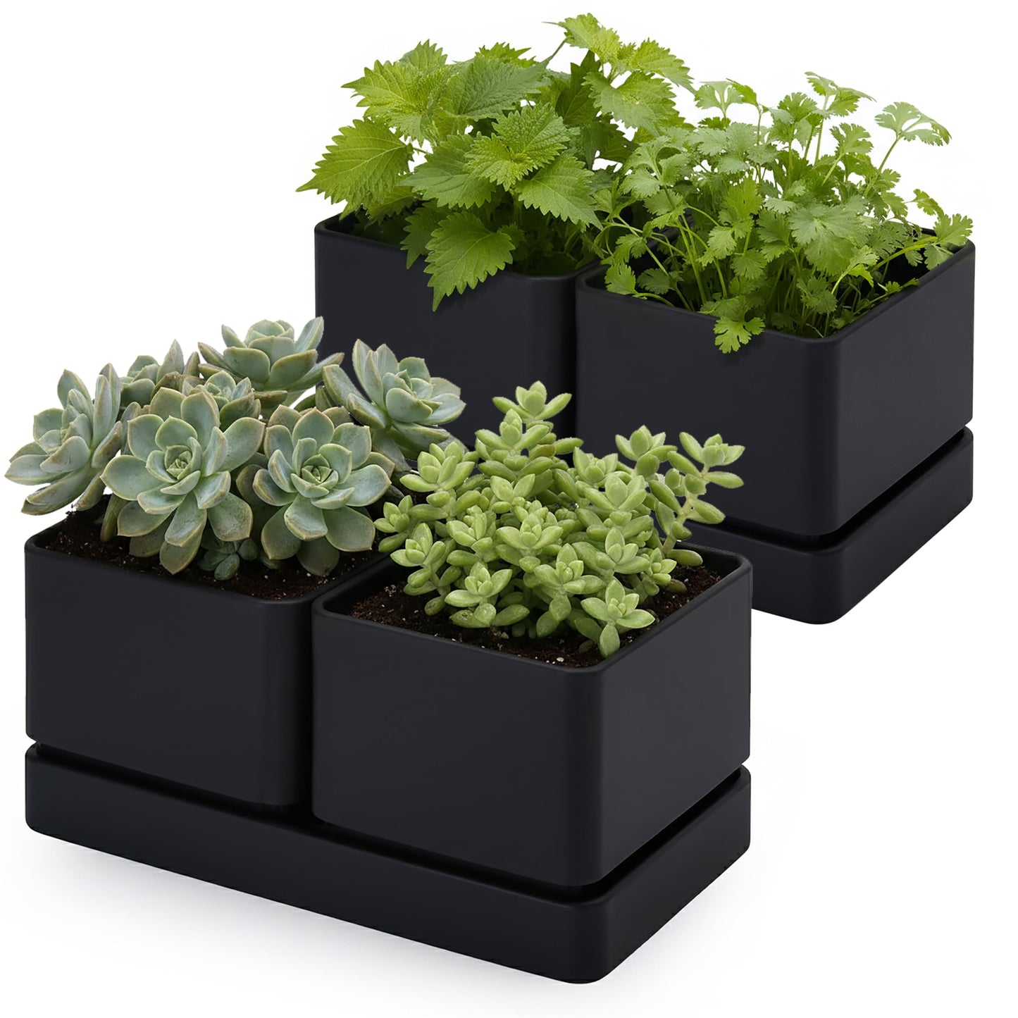 D'vine Dev Indoor Herb Garden Planter Set, Plastic Windowsill Plant Pots with Drainage and Saucer, Indoor Succulent Cactus Vegetable Pot for Balcony, Office, Garden, Black, Set of 2, 76-Q-B-2