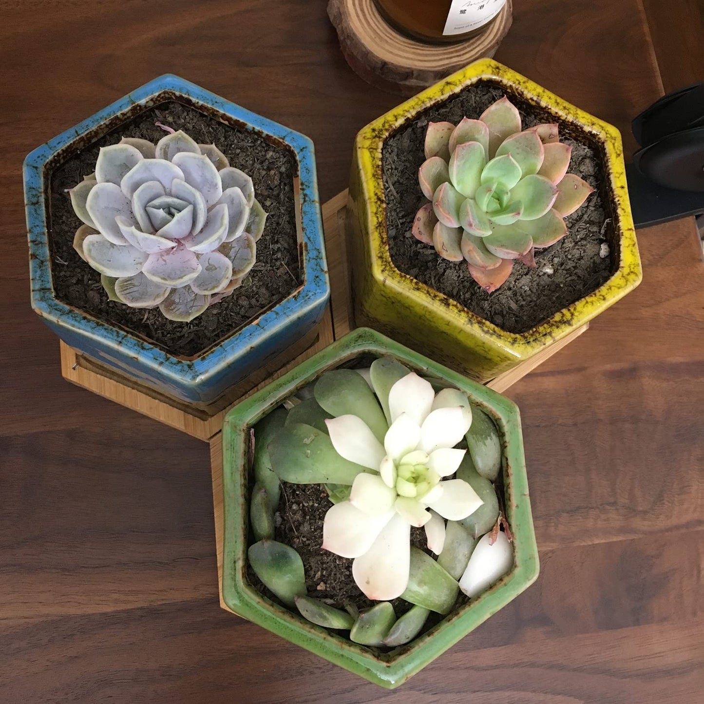 TOPZEA Set of 5 Succulent Planter Pots, 4.2 Inch Hexagon Glazed Ceramic Small Cactus Pot, Geometric Mini Flower Plant Container with Drainage Hole & Bamboo Tray for Home, Office, Windowsill, Desk