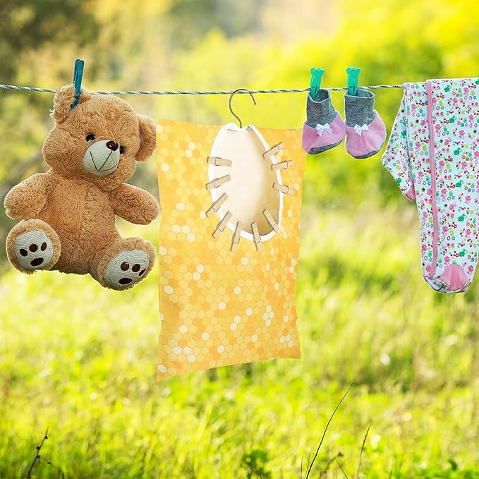 Bee Honeycomb Clothespin Holder