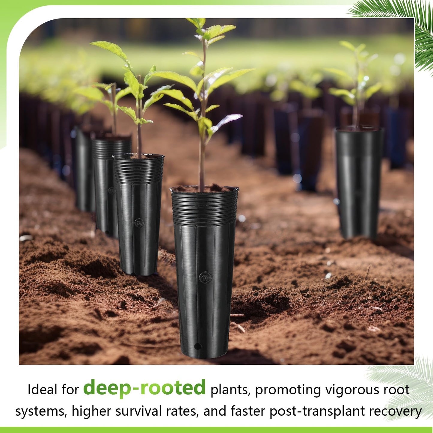 Ferrochef 100 Pack Tall Tree Pot 11.8'' x 4.7'', Black Plastic Deep Nursery Pots, Soft Deep Seedling Pots for Seed Starting, Plant Starter Cups with Drainage Holes for Flowers, Cutting & Transplanting