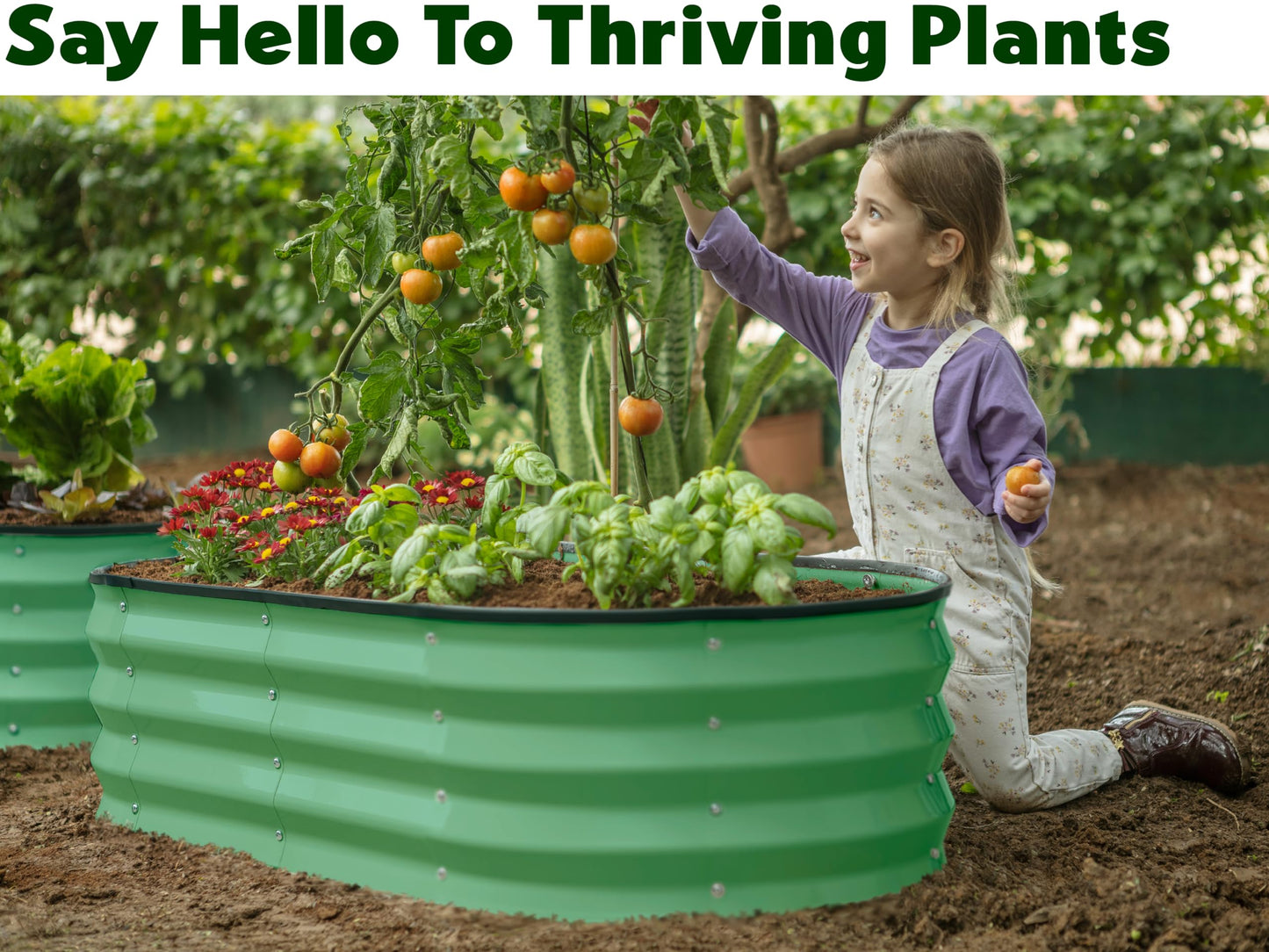 Plant & Plot Galvanized Raised Garden Beds Outdoor // 4×2×1 ft Planter Raised Beds for Gardening, Vegetables, Flowers (Light Green) // Large Metal Garden Box