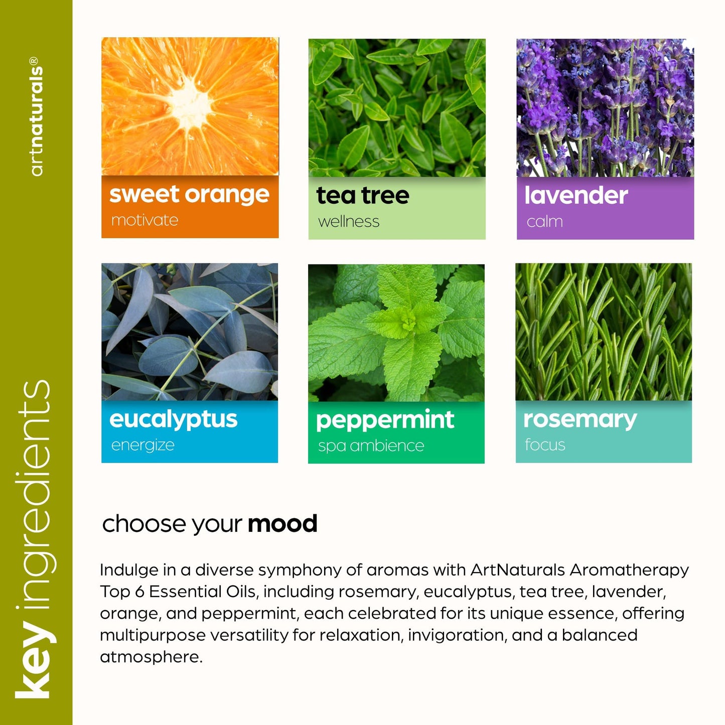 ArtNaturals Aromatherapy Top-6 Essential Oil Set - (6 x 10ml Bottles) - 100% Pure of The Highest Therapeutic Grade - Premium Gift Set – Lavender, Peppermint, Tea Tree, Eucalyptus