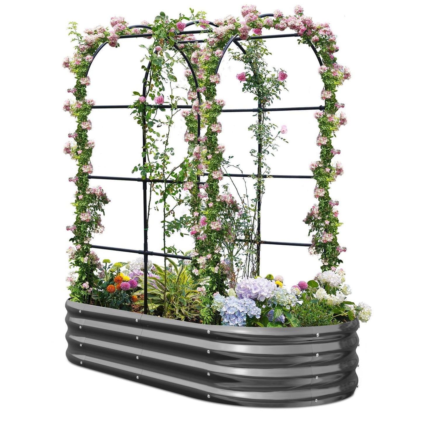 KING BIRD Raised Garden Bed with Arched Trellis Galvanized Planter Garden Box Outdoor for Gardening, Climbing Vegetables, Flowers, Dark Grey, 5.9x2.95x0.98 Ft