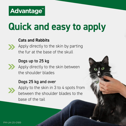 Advantage Spot On Flea Treatment For Cats, Dogs and Rabbits Under 4kg (4 pipettes, 40mg), Kills Fleas Within 24 Hours, Prevents Further Infestation For Up To Four Weeks in Cats and Dogs