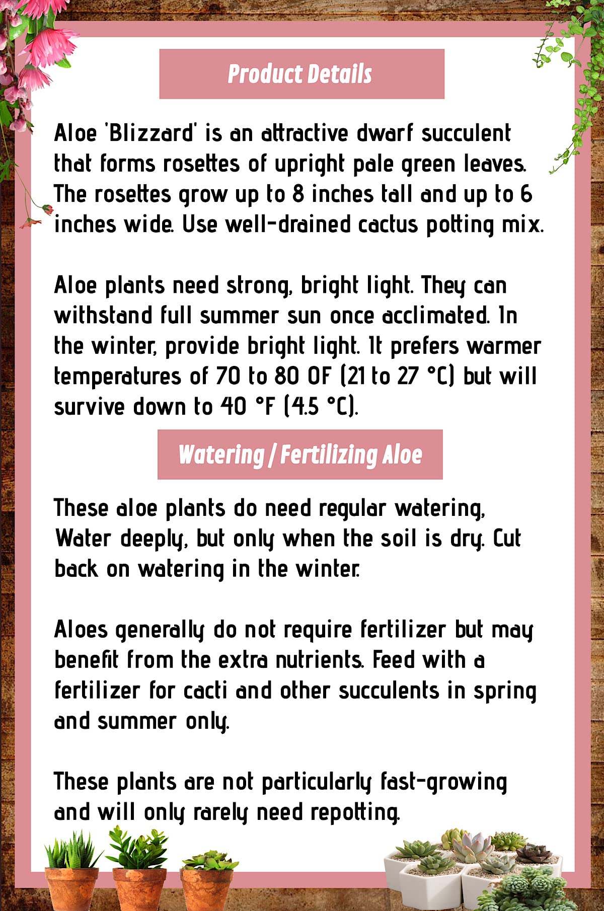 4" Live Plant Cactus Succulent-Haworthia Zebra, Gasteria Hybrid Plant-Fully Rooted, Drought Tolerate, Easy to Grow Indoor/Outdoor.