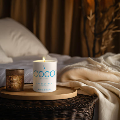 COCO by Stone 11oz Candle, Coconut Apricot Wax Candle for Home (Blue Birch) Home Fragrance Products, 1 Wick Candle, Enhance Indoor Aroma, Vegan & Cruelty-Free, Clean Burning and Hand Poured Candle