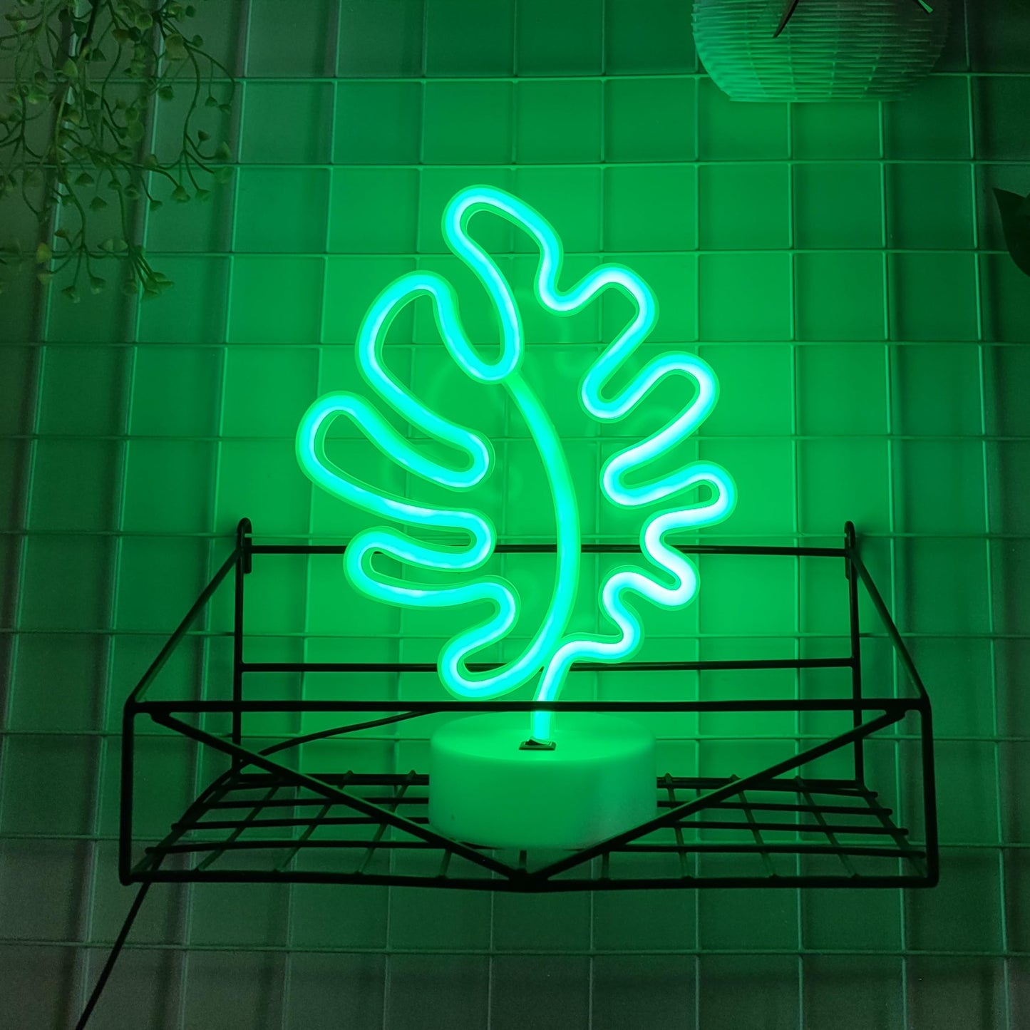 JYWJ Neon Signs with Holder Base,USB or 3-AA Battery Powered Neon Light,LED Table Decoration,Bedroom Wall Decoration,Birthday Gift,Wedding Supplies Business Gift(Leaf)